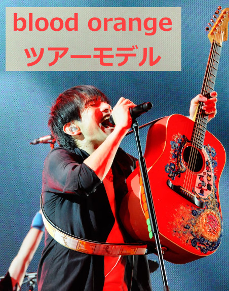 blood orangeの桜井和寿のツアー用ギター